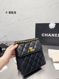 2023 CC handbag -227